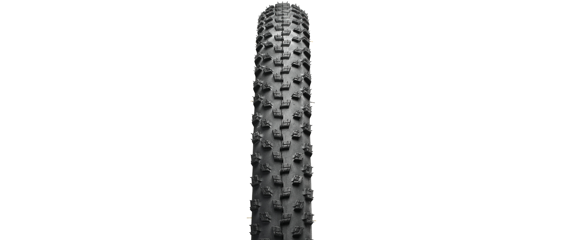Specialized Fast Trak CONTROL 2Bliss Ready T5 Tire